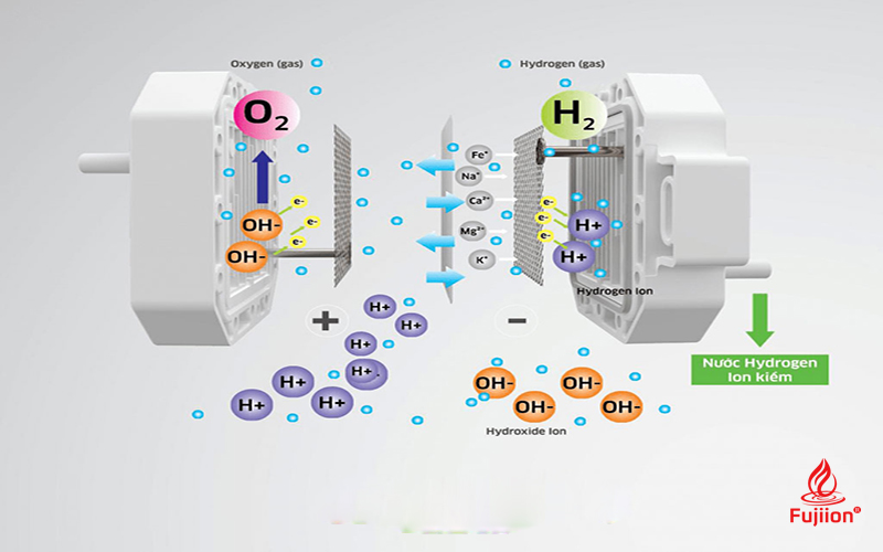 Tìm hiểu nguyên lý hoạt động của máy lọc nước ion kiềm 